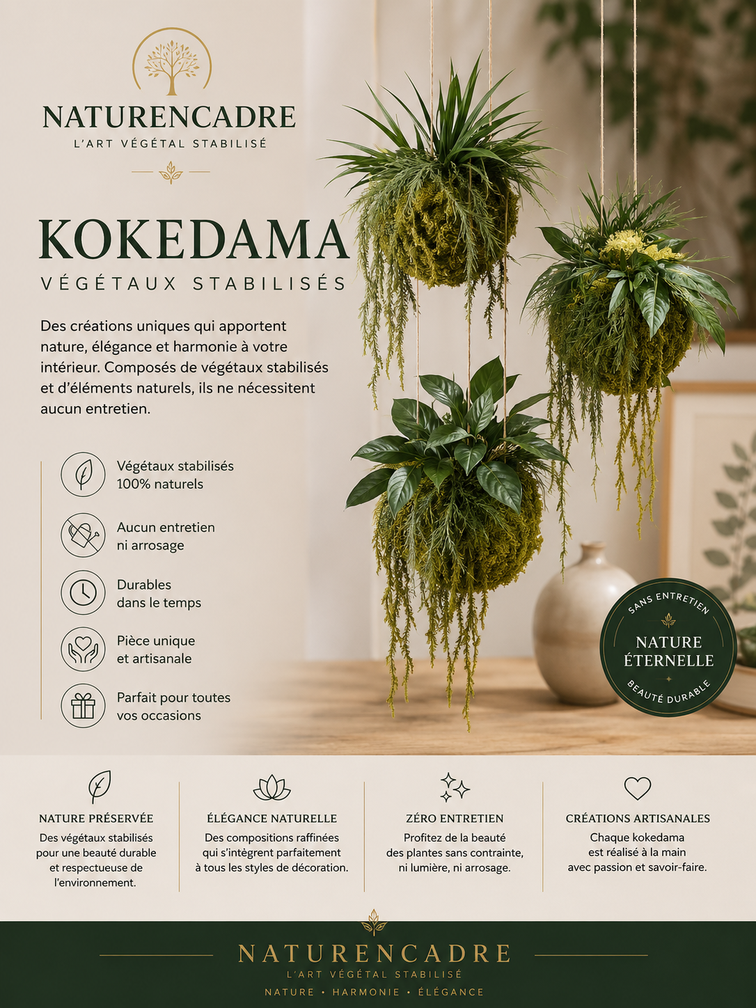 Kokedama Stabilisés - Décoration Végétale Suspendue Haut de Gamme - Naturencadre