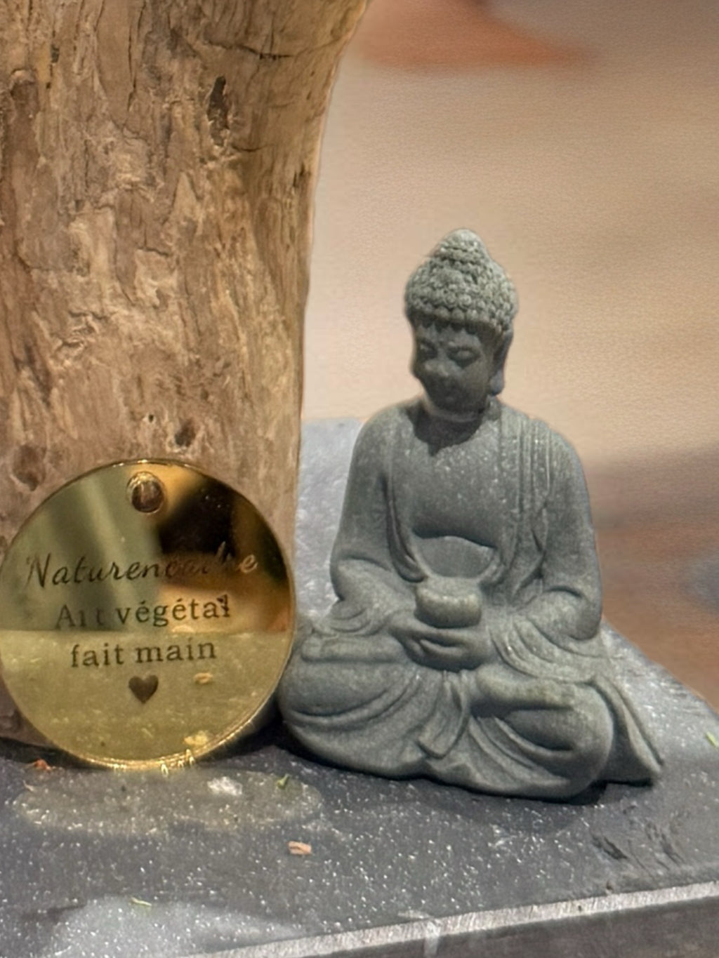 Bonsaï végétal stabilisé sculptural – Art végétal Zen haut de gamme – Pièce unique Japandi / Wabi Sabi – Bois naturel et mousse stabilisée