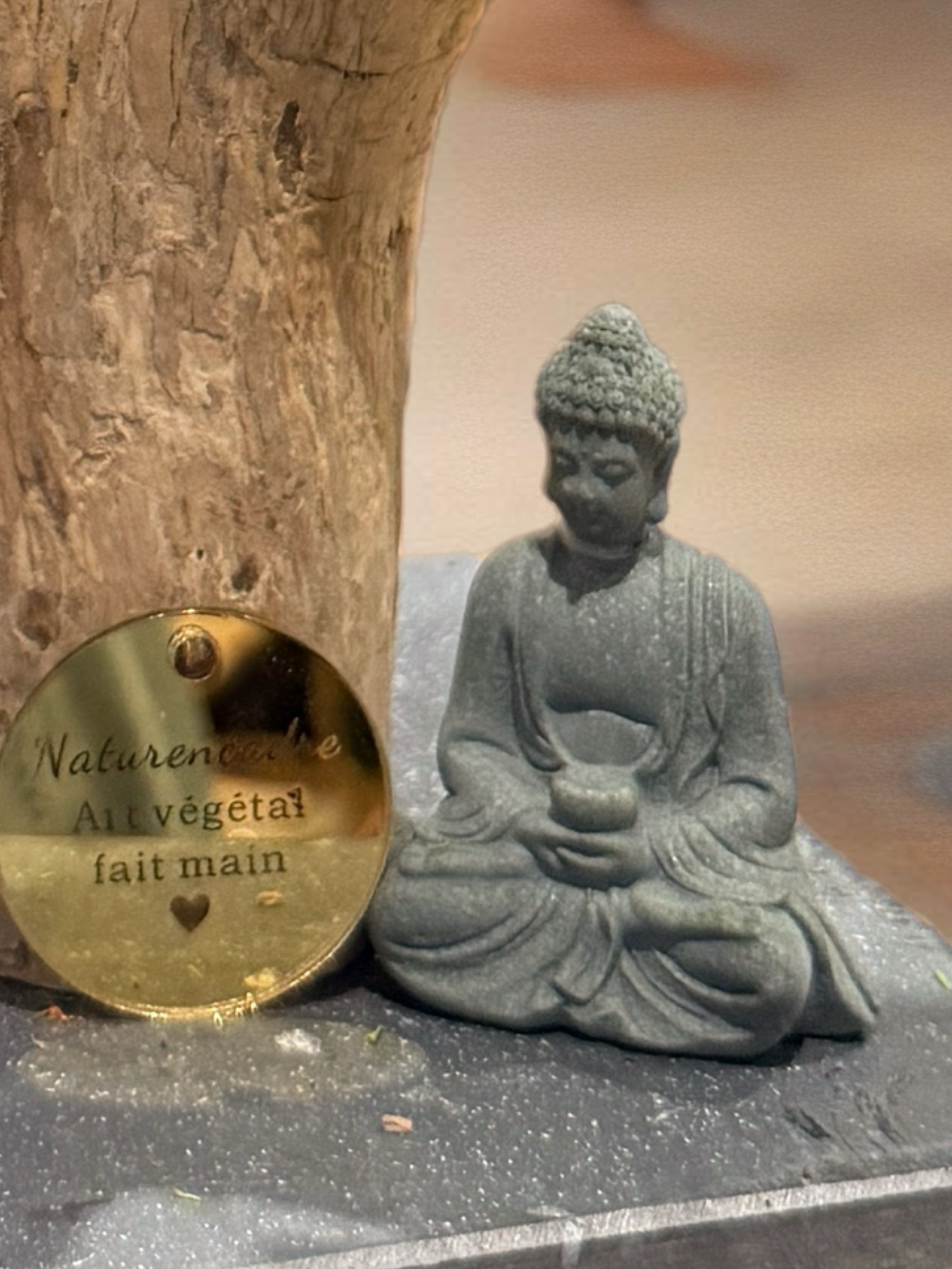 Bonsaï végétal stabilisé sculptural – Art végétal Zen haut de gamme – Pièce unique Japandi / Wabi Sabi – Bois naturel et mousse stabilisée