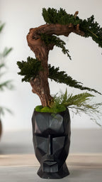 Bonsaï Stabilisé Sans Entretien – Pot Visage Abstrait Noir | Sculpture Végétale Zen Design