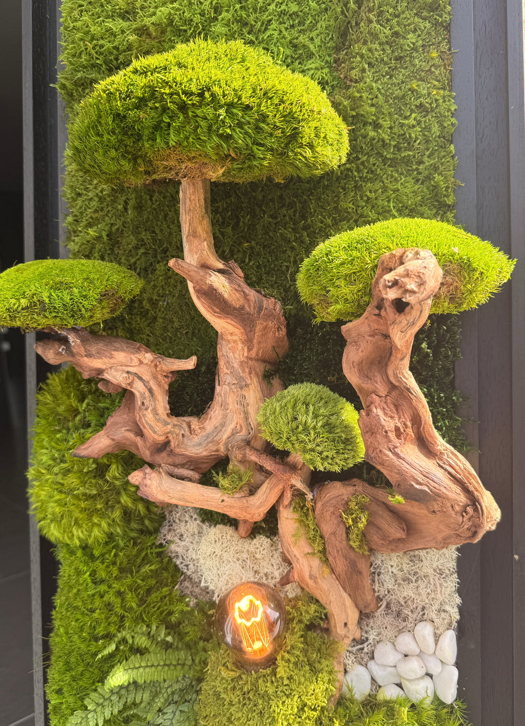 Bonsaï Mural Stabilisé XXL dans sa Caisse Américaine Noire – Tableau Végétal Lumineux 100 x 38 cm haut de gamme