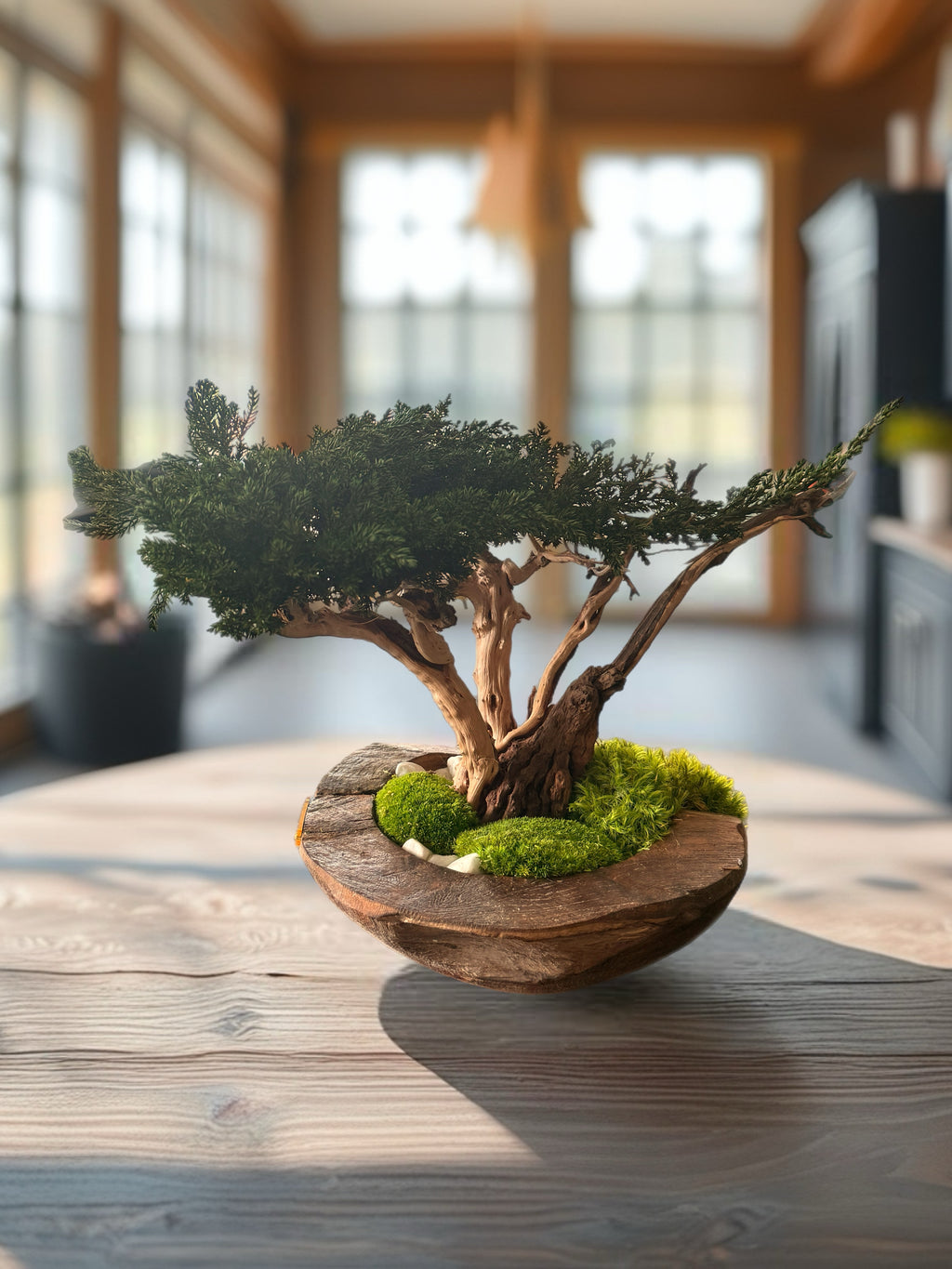 Bonsaï Stabilisé d’Exception sur Coupe en Teck – Pièce Unique- Décoration Zen Naturelle et sans entretien