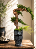 Bonsaï Stabilisé Design Japonais – Art Végétal Zen dans Pot Visage Noir – Décoration Japandi Haut de Gamme – Pièce Unique