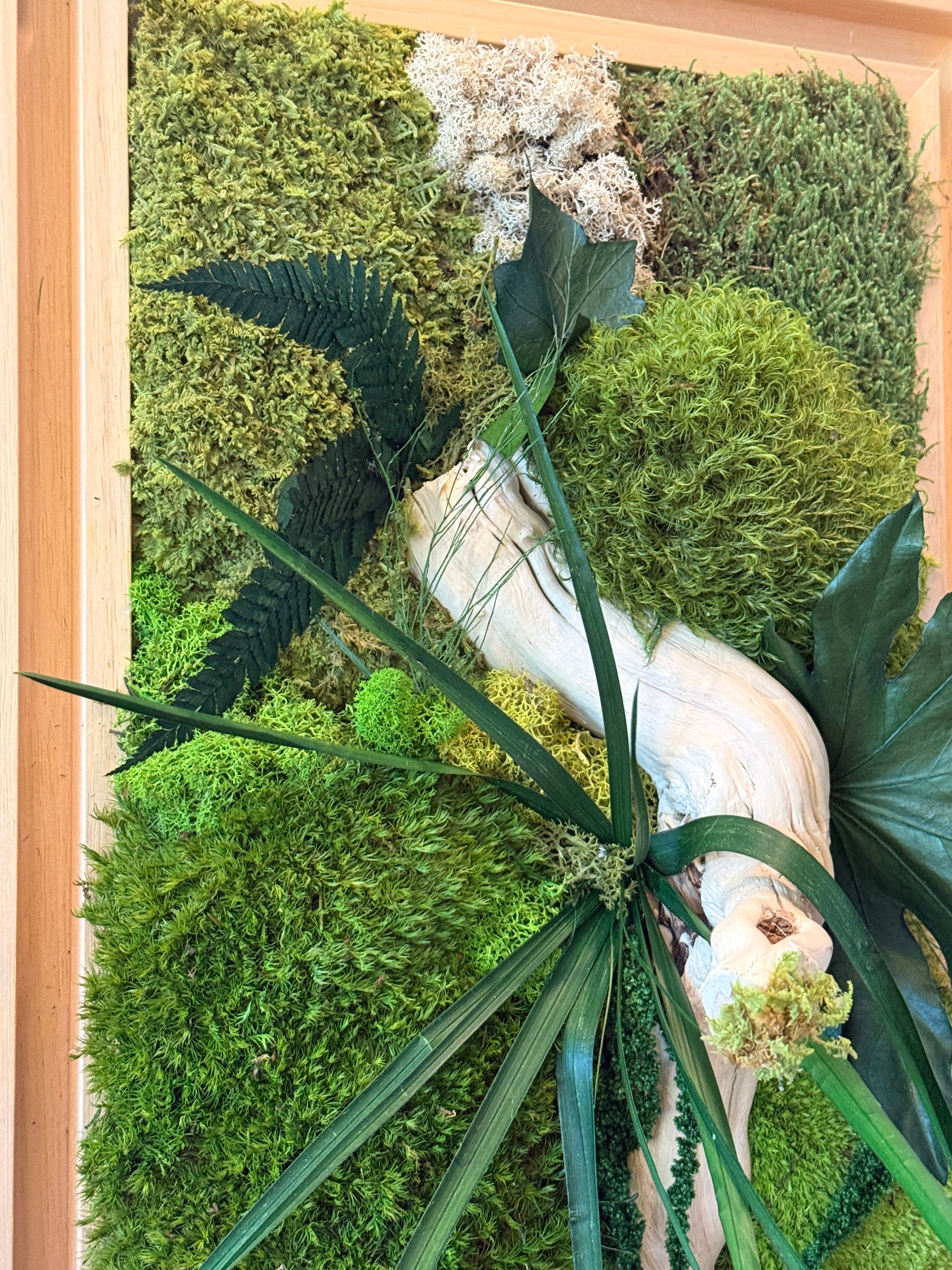 Grand cadre végétal mural– Caisse américaine – Œuvre végétale verticale 100 cm – Décoration murale nature chic