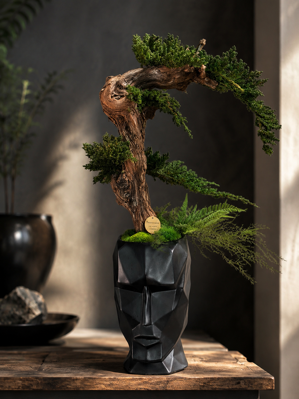 Bonsaï Stabilisé Design Japonais – Art Végétal Zen dans Pot Visage Noir – Décoration Japandi Haut de Gamme – Pièce Unique