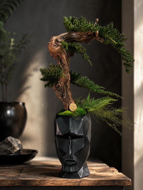 Bonsaï Stabilisé Design Japonais – Art Végétal Zen dans Pot Visage Noir – Décoration Japandi Haut de Gamme – Pièce Unique