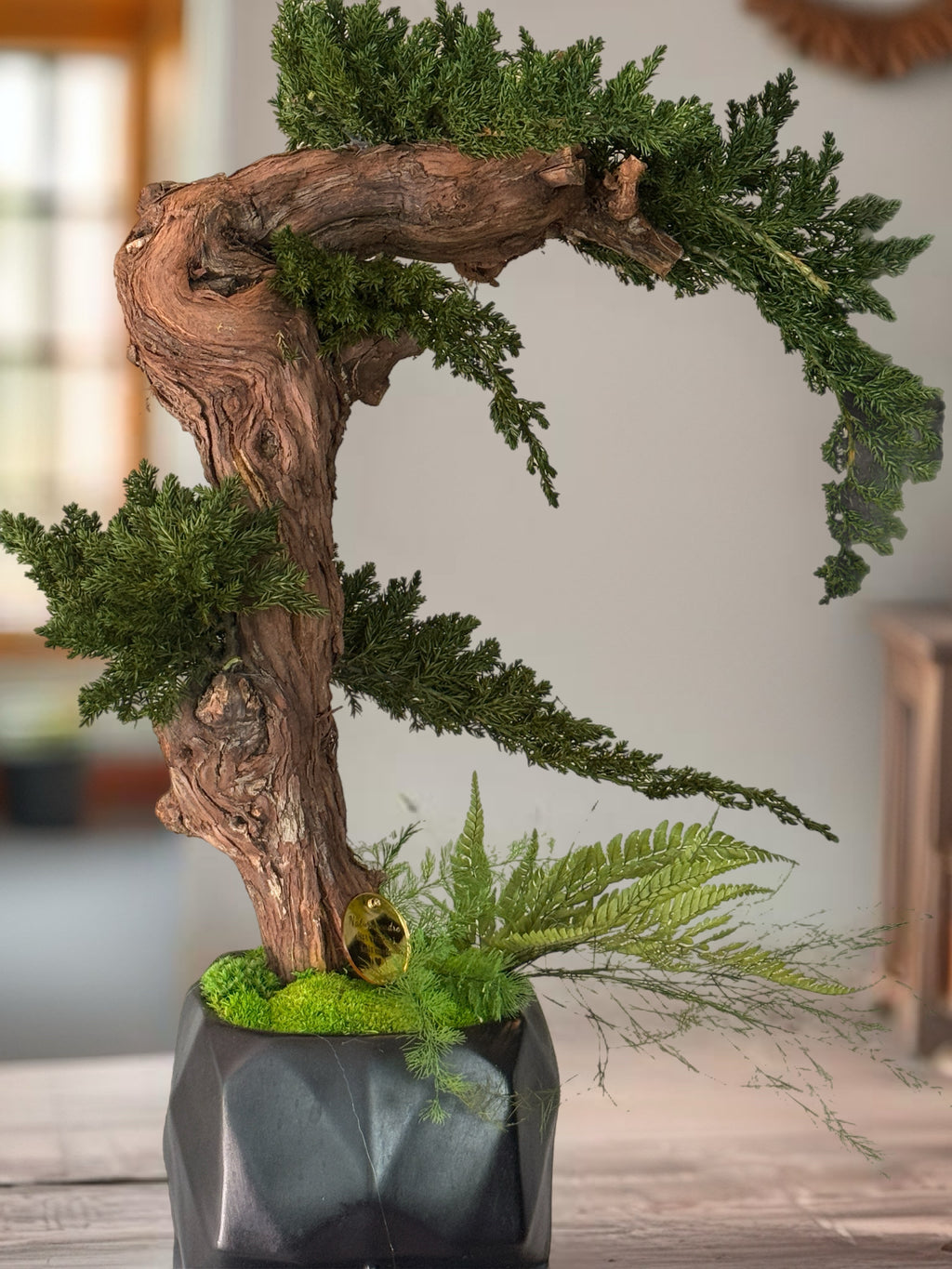 Bonsaï Stabilisé Design Japonais – Art Végétal Zen dans Pot Visage Noir – Décoration Japandi Haut de Gamme – Pièce Unique