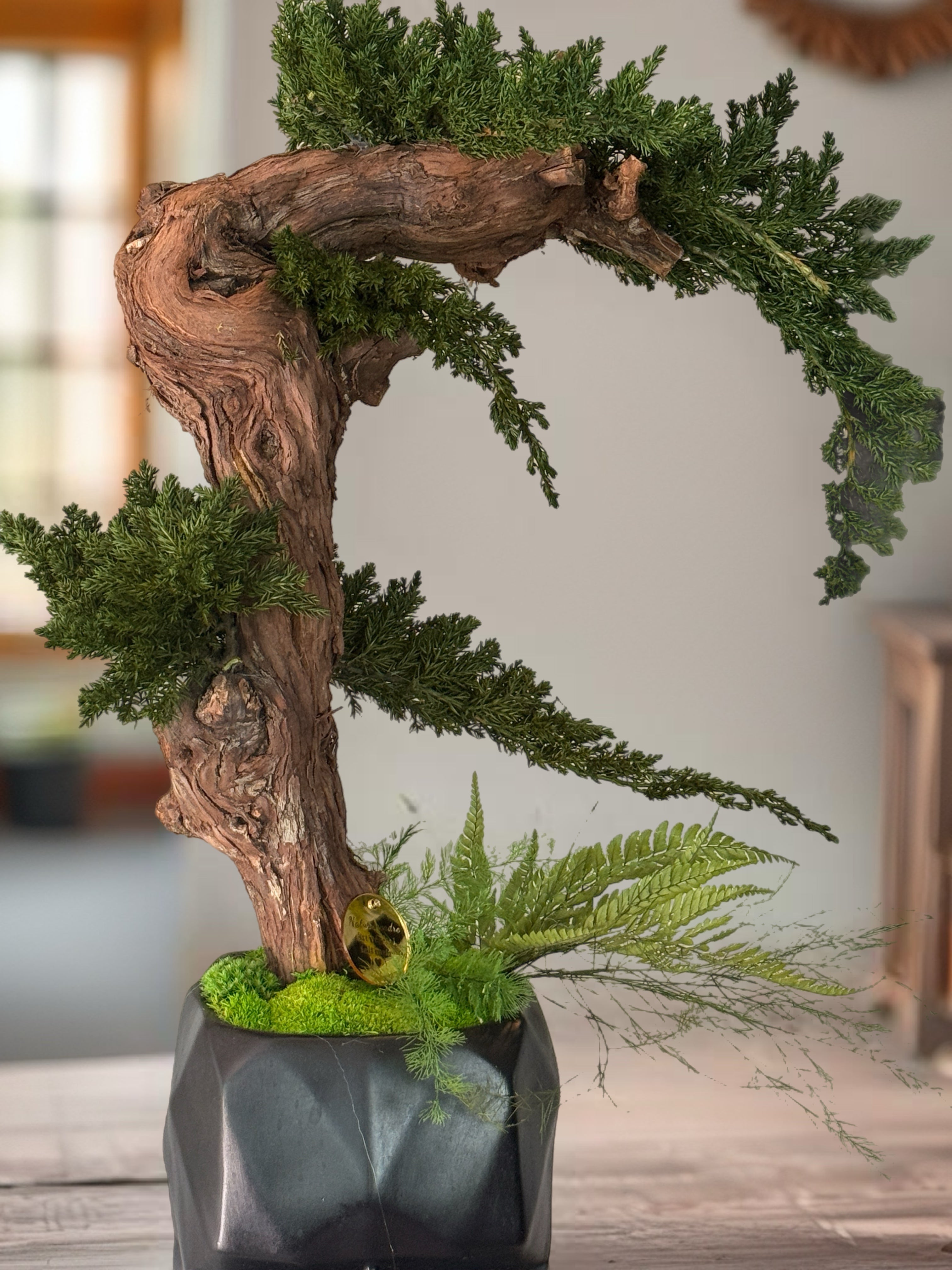 Bonsaï Stabilisé Design Japonais – Art Végétal Zen dans Pot Visage Noir – Décoration Japandi Haut de Gamme – Pièce Unique