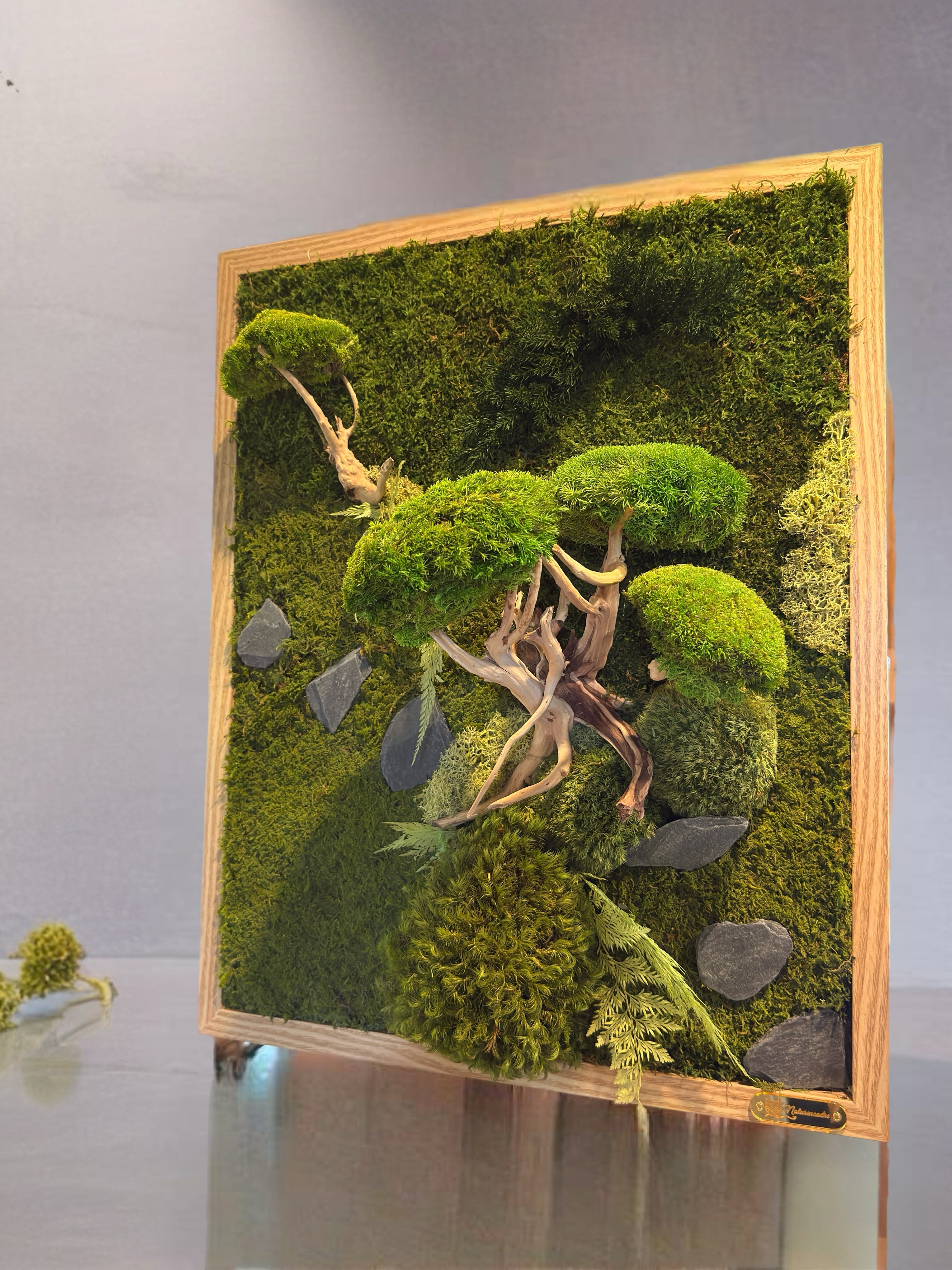 Cadre végétal mural stabilisé – Bonsaï mural japonais – Sculpture végétale Japandi – Bois flotté et pierres naturelles- Pièce unique