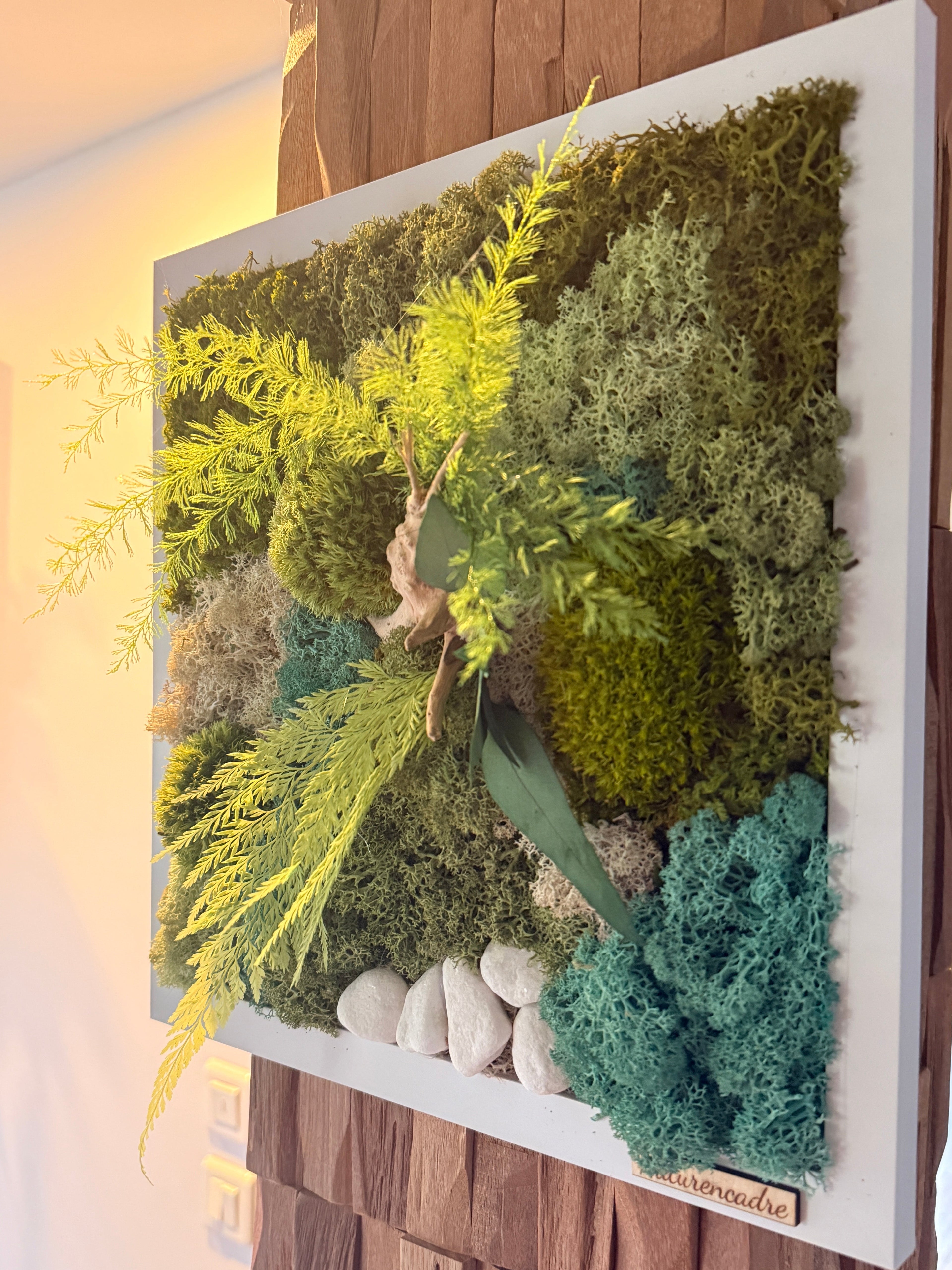 Cadre végétal stabilisé 30x30 cm – Art végétal naturel mural – Décoration zen et moderne