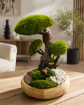 Grand Bonsaï Stabilisé sur Bois de Manguier – 40 cm | Décoration Zen Naturelle Haut de Gamme