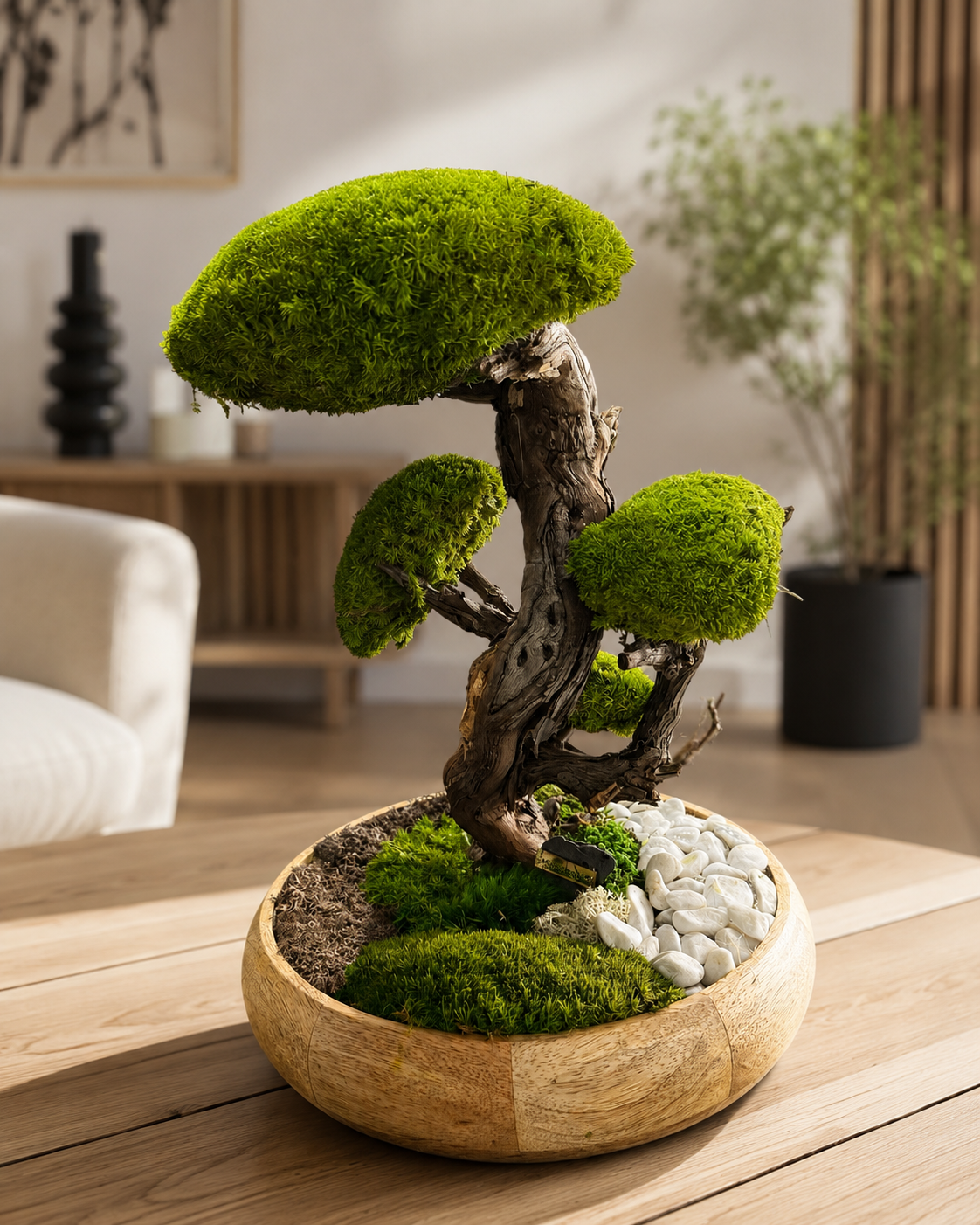 Grand Bonsaï Stabilisé sur Bois de Manguier – 40 cm | Décoration Zen Naturelle Haut de Gamme