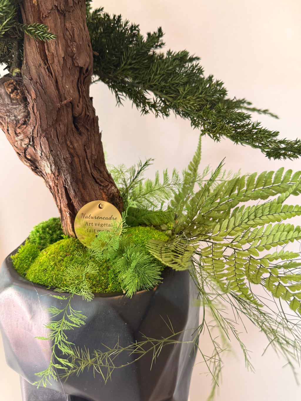 Bonsaï Stabilisé Design Japonais – Art Végétal Zen dans Pot Visage Noir – Décoration Japandi Haut de Gamme – Pièce Unique