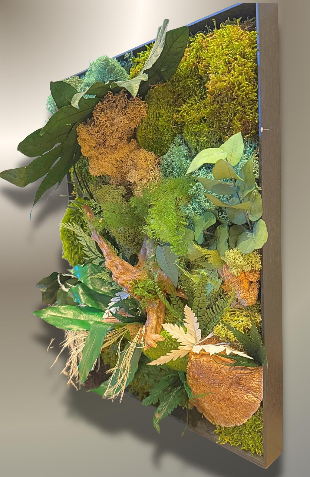 Cadre végétal stabilisé mural  Déco nature haut de gamme  Tableau végétal design bois flotté  Sans entretien  Cadeau déco unique