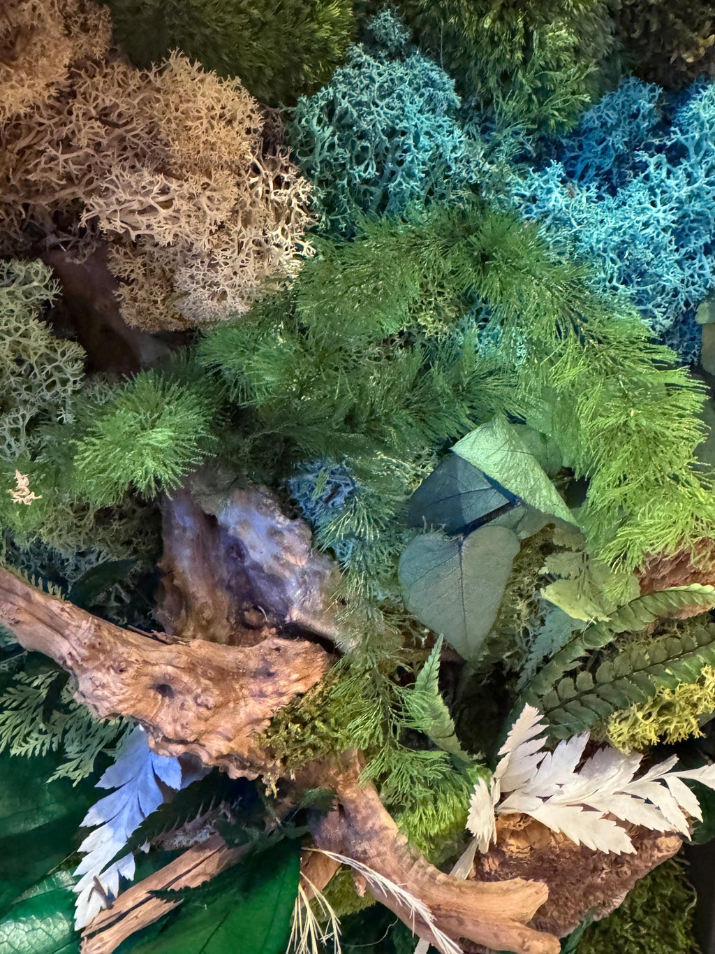 Cadre végétal stabilisé mural  Déco nature haut de gamme  Tableau végétal design bois flotté  Sans entretien  Cadeau déco unique