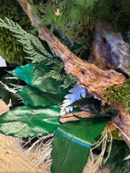 Cadre végétal stabilisé mural  Déco nature haut de gamme  Tableau végétal design bois flotté  Sans entretien  Cadeau déco unique