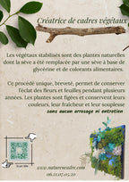 Cadre Végétal Stabilisé « Éveil de la Forêt » – Eucalyptus, Gypsophile & Mousse | 22×22 cm