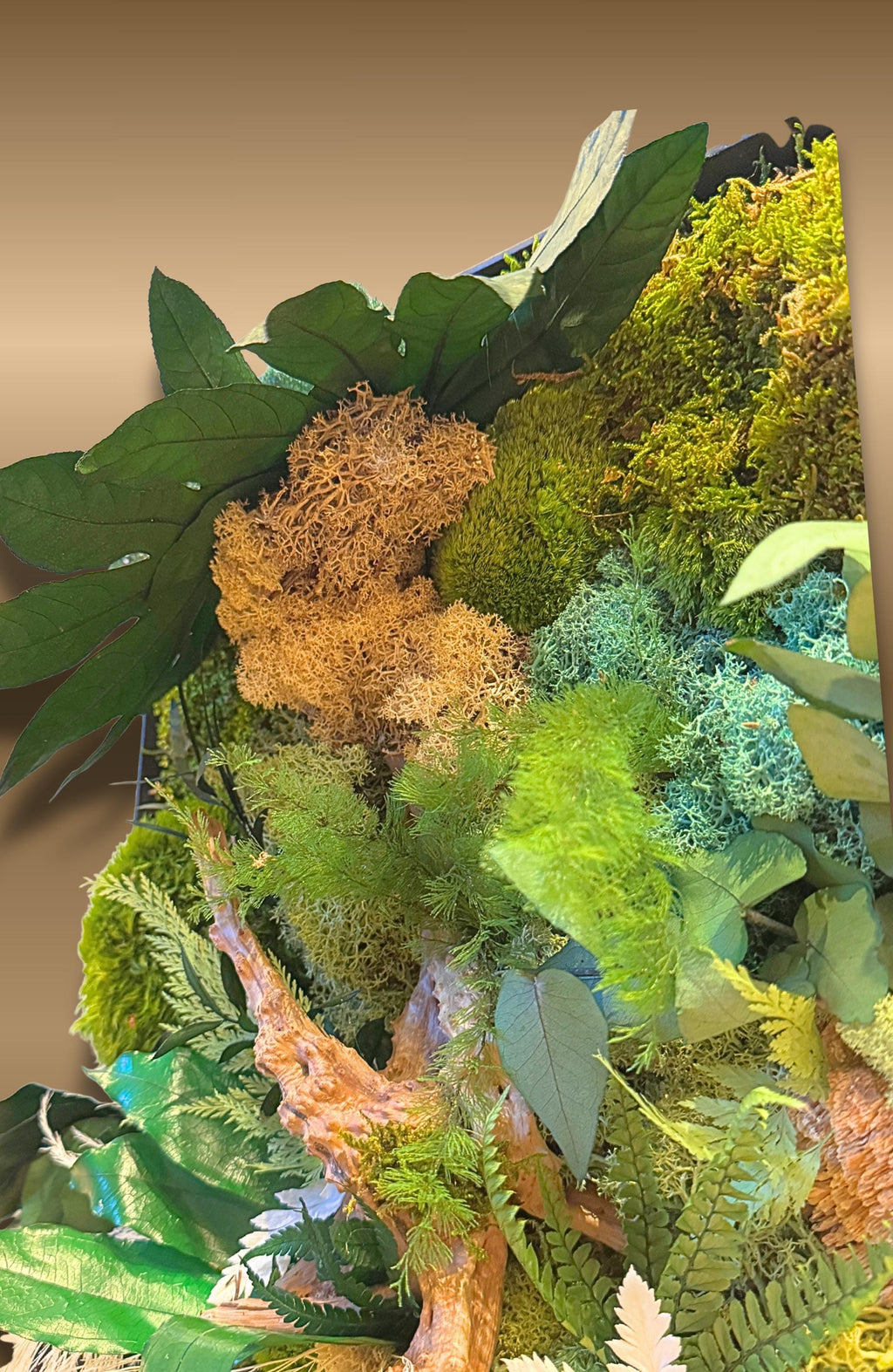 Cadre végétal stabilisé mural  Déco nature haut de gamme  Tableau végétal design bois flotté  Sans entretien  Cadeau déco unique