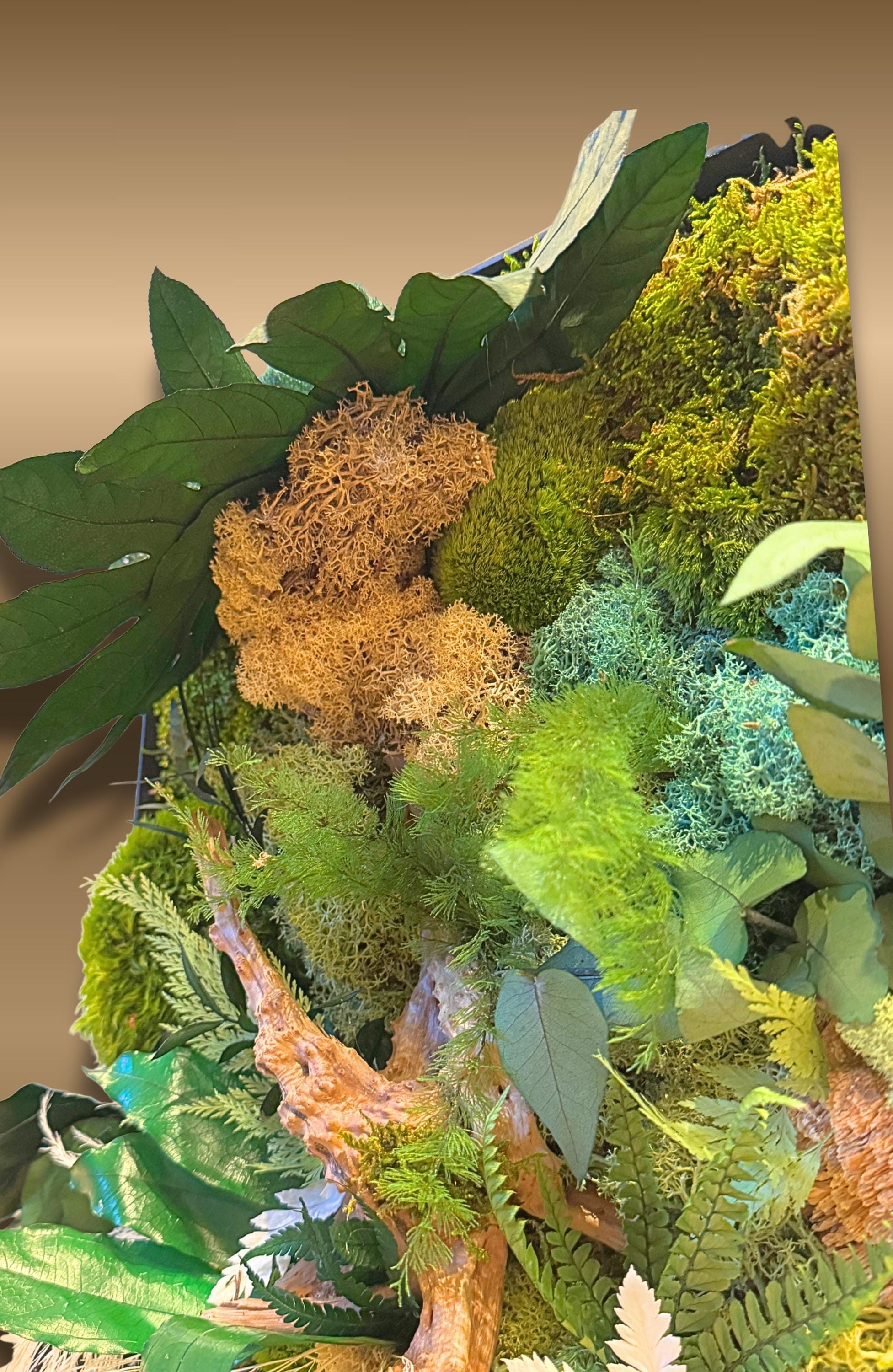 Cadre végétal stabilisé mural  Déco nature haut de gamme  Tableau végétal design bois flotté  Sans entretien  Cadeau déco unique
