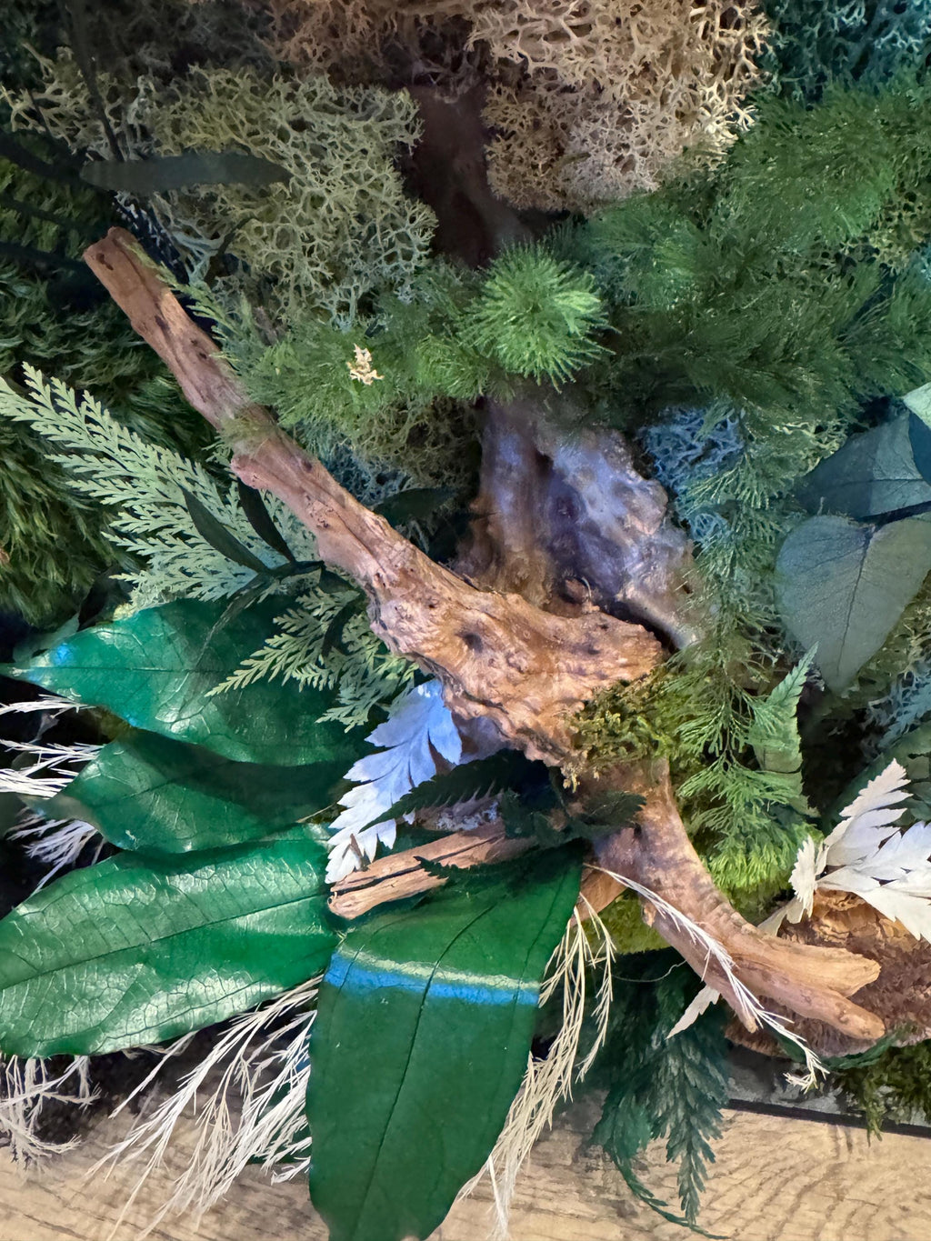 Cadre végétal stabilisé mural  Déco nature haut de gamme  Tableau végétal design bois flotté  Sans entretien  Cadeau déco unique