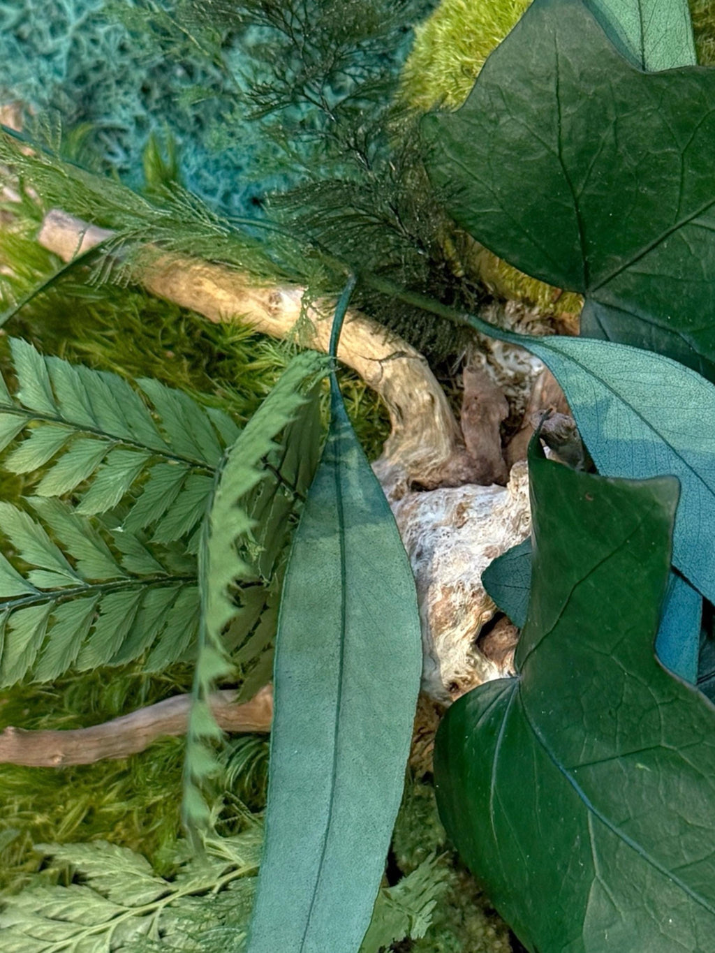 Cadre végétal stabilisé rond avec mousse, eucalyptus et feuillage naturel  Décoration murale artisanale  Tableau végétal fait main
