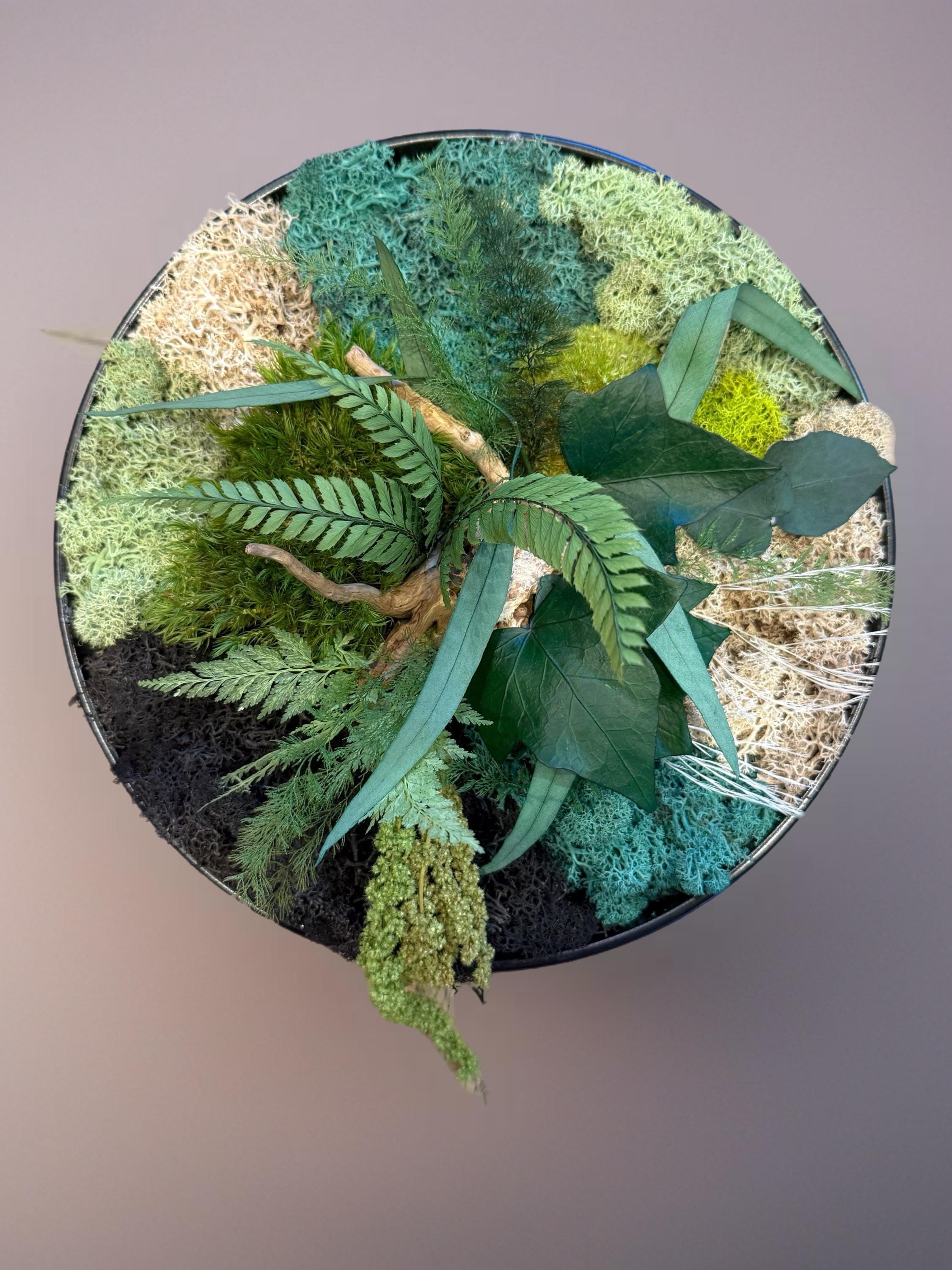 Cadre végétal stabilisé rond avec mousse, eucalyptus et feuillage naturel  Décoration murale artisanale  Tableau végétal fait main