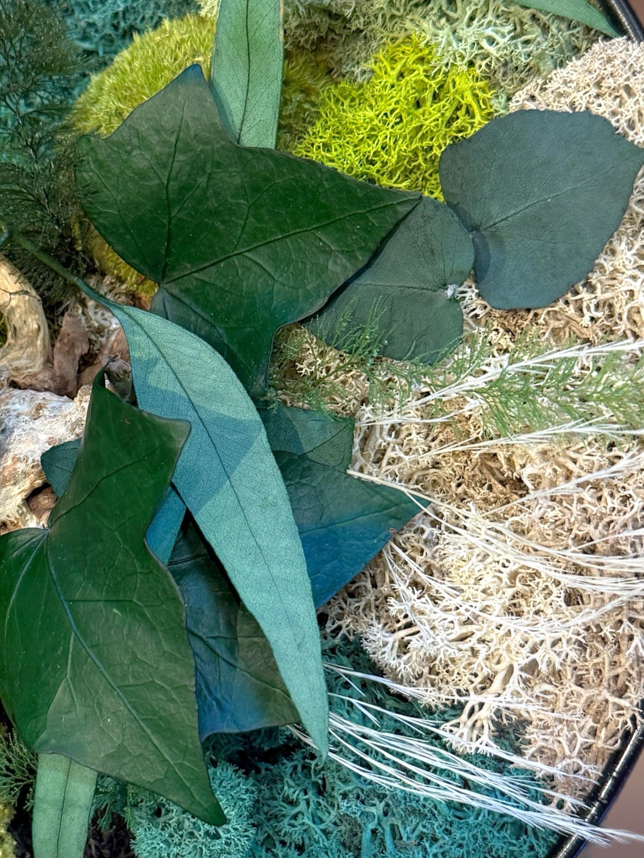Cadre végétal stabilisé rond avec mousse, eucalyptus et feuillage naturel  Décoration murale artisanale  Tableau végétal fait main
