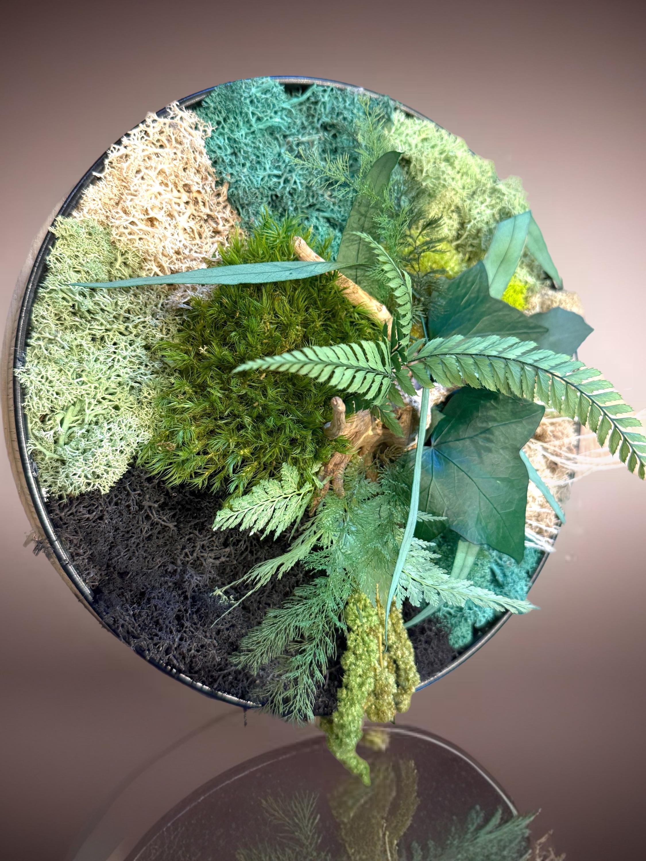 Cadre végétal stabilisé rond avec mousse, eucalyptus et feuillage naturel  Décoration murale artisanale  Tableau végétal fait main