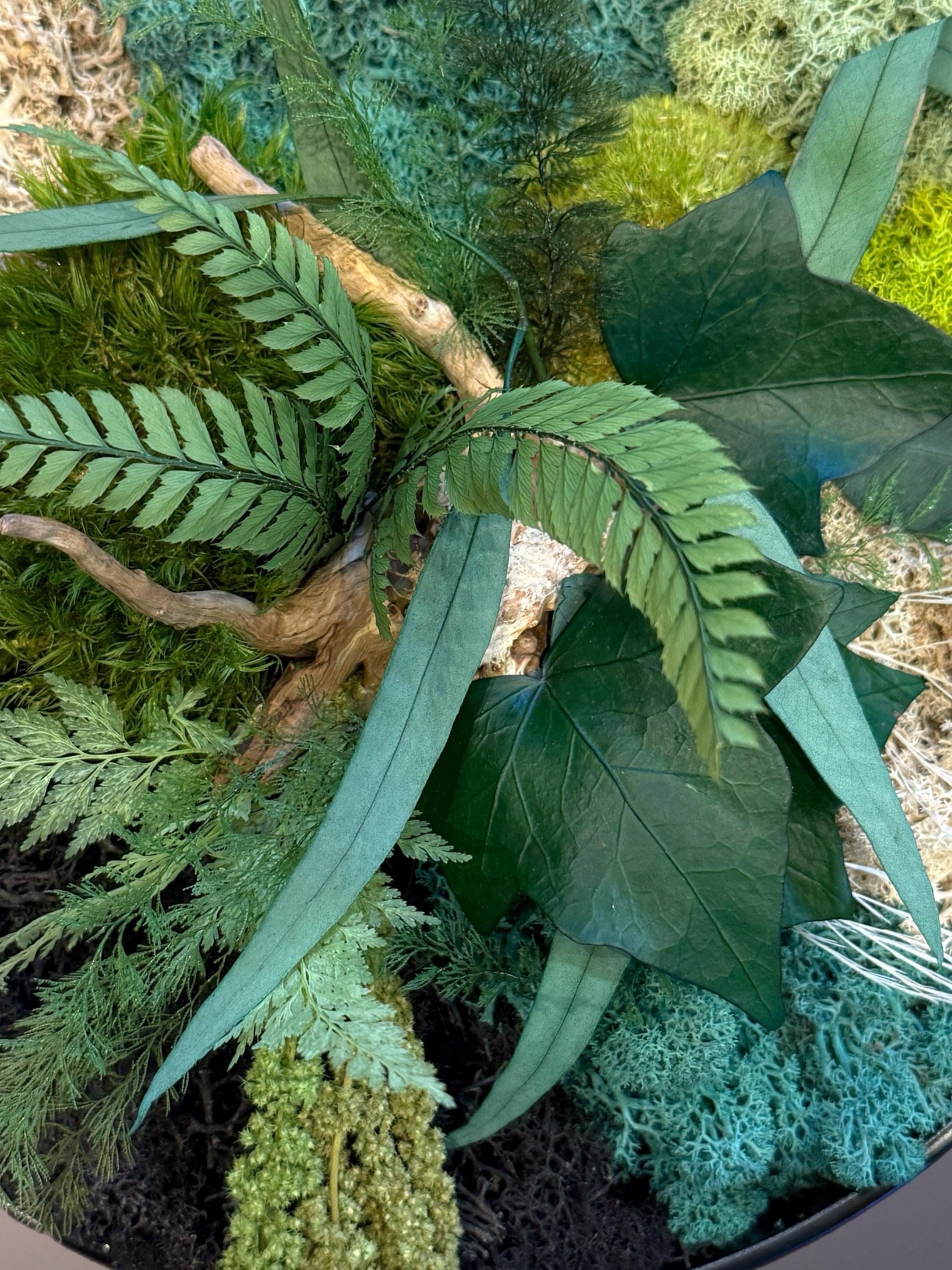 Cadre végétal stabilisé rond avec mousse, eucalyptus et feuillage naturel  Décoration murale artisanale  Tableau végétal fait main
