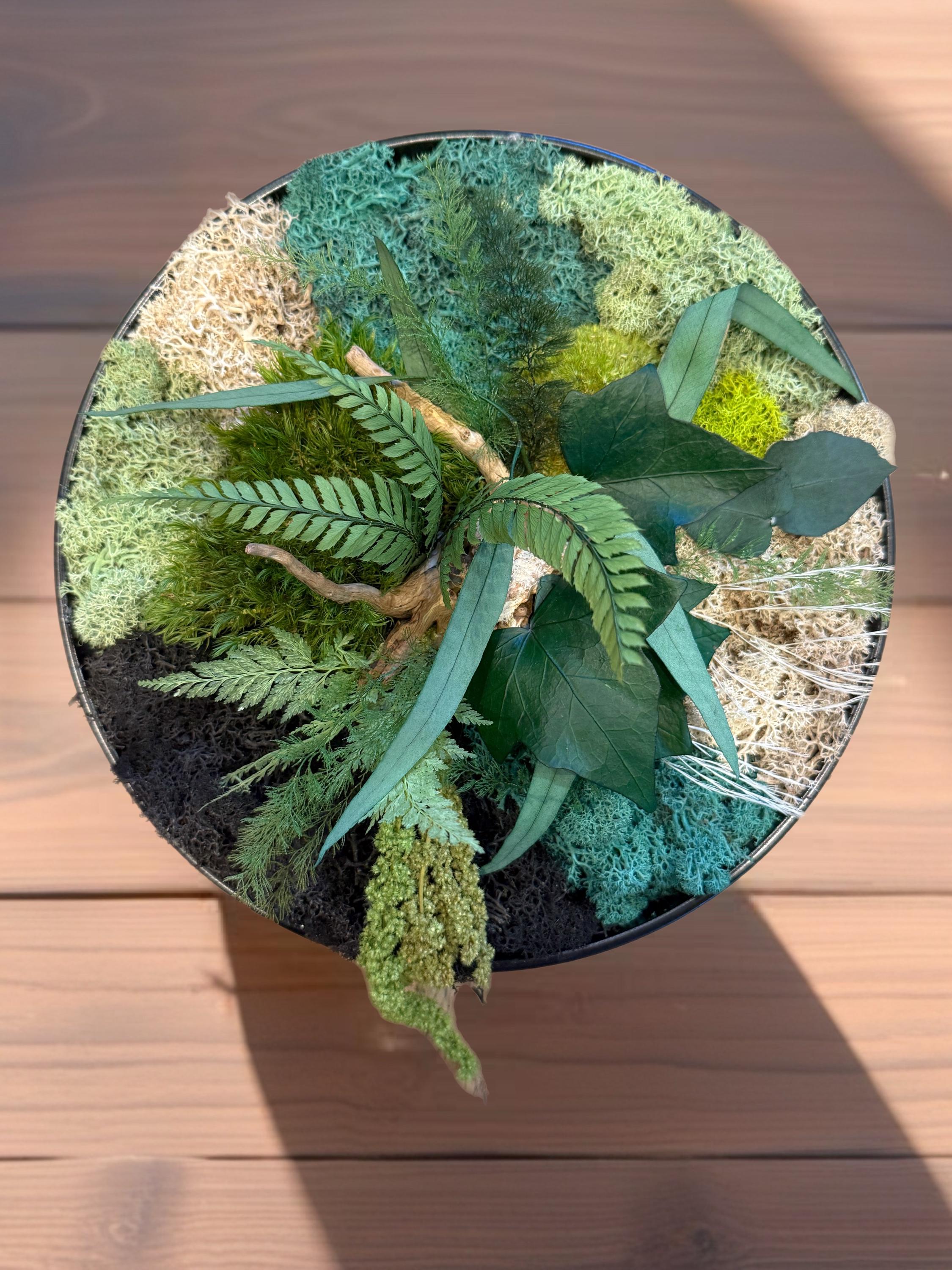 Cadre végétal stabilisé rond avec mousse, eucalyptus et feuillage naturel  Décoration murale artisanale  Tableau végétal fait main