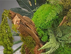 Grand tableau végétal mural en mousse stabilisée  Cadre caisse américaine bois blanc  Déco murale artisanale zen et élégante