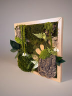 Cadre végétal stabilisé 33x33 cm esprit forêt  Tableau végétal mural zen en mousse naturelle et bois