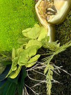 Cadre végétal stabilisé avec visage femme doré  Tableau mousse naturelle  Art végétal mural design zen luxe