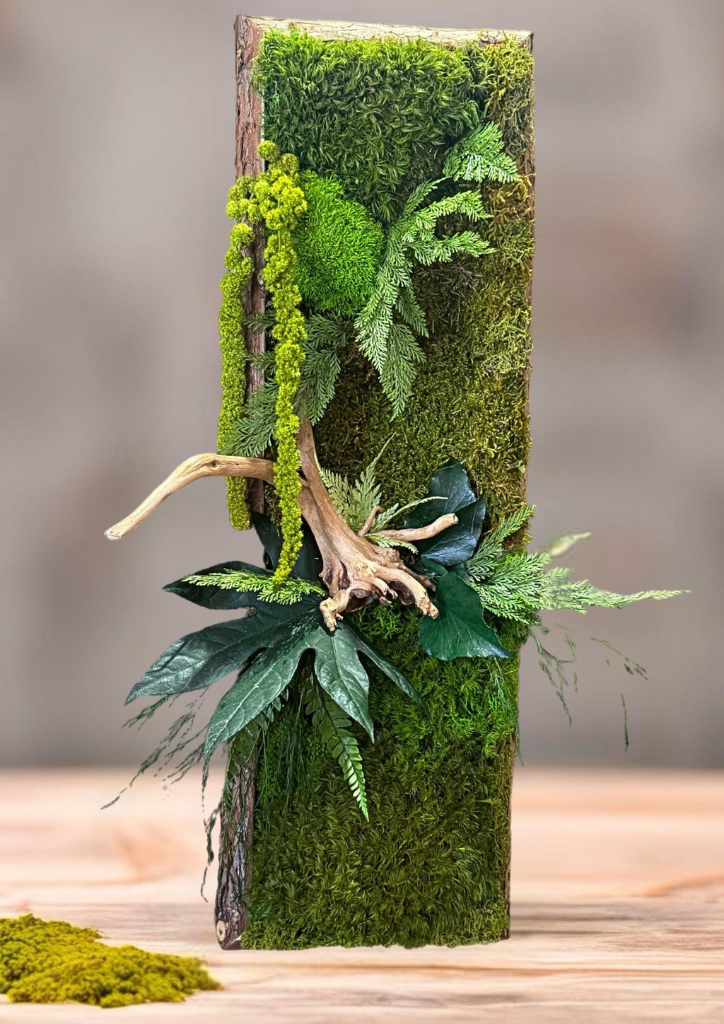 Cadre végétal stabilisé vertical Mousse naturelle et bois flotté  Cadre en écorce  Décoration murale nature