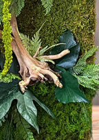 Cadre végétal stabilisé vertical Mousse naturelle et bois flotté  Cadre en écorce  Décoration murale nature