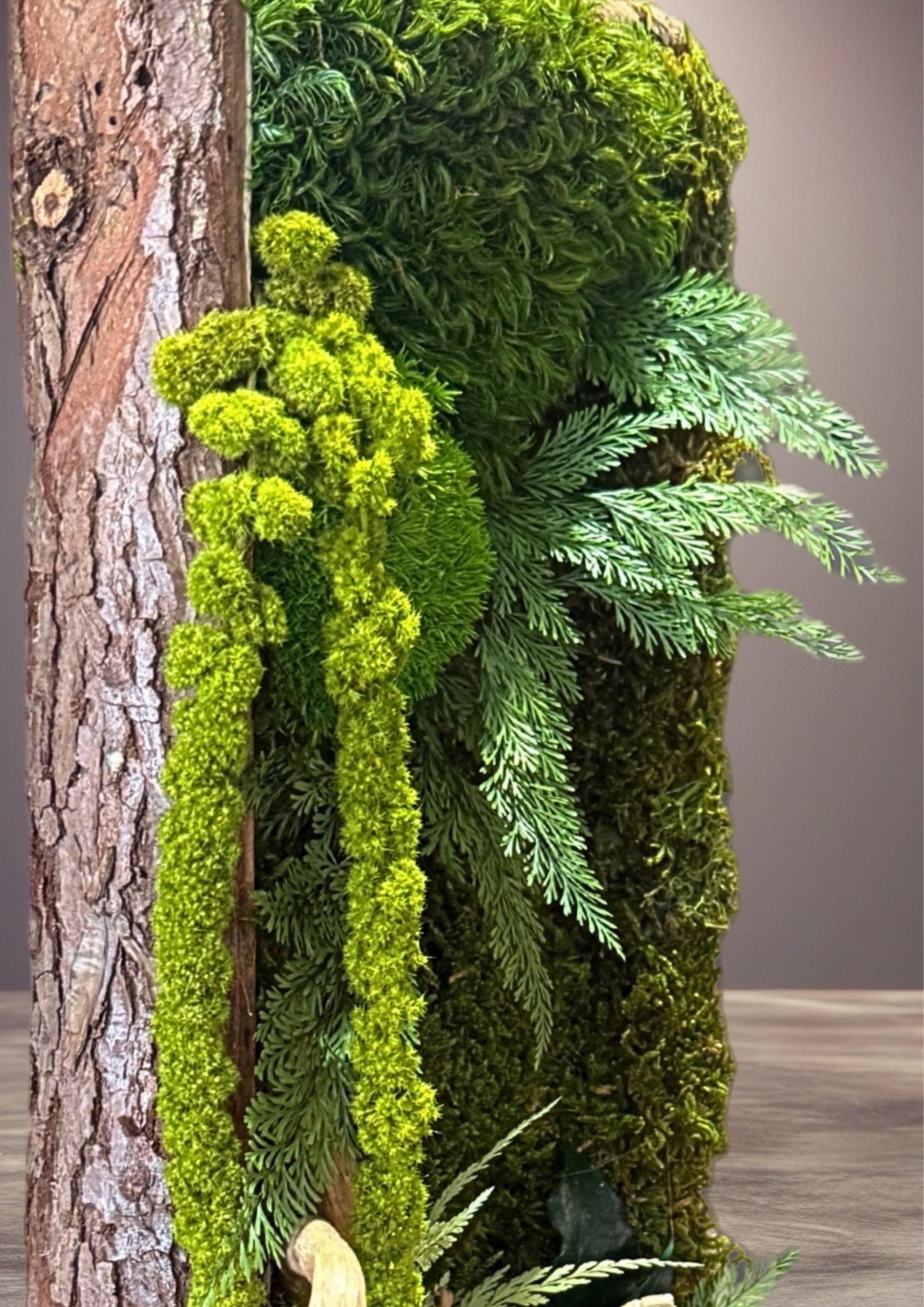 Cadre végétal stabilisé vertical Mousse naturelle et bois flotté  Cadre en écorce  Décoration murale nature