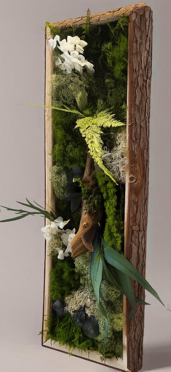 Cadre végétal stabilisé vertical Mousse naturelle et bois flotté  Cadre en écorce  Décoration murale nature