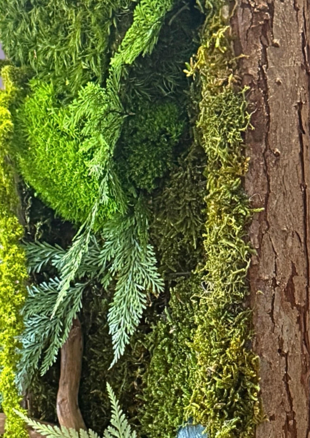 Cadre végétal stabilisé vertical Mousse naturelle et bois flotté  Cadre en écorce  Décoration murale nature