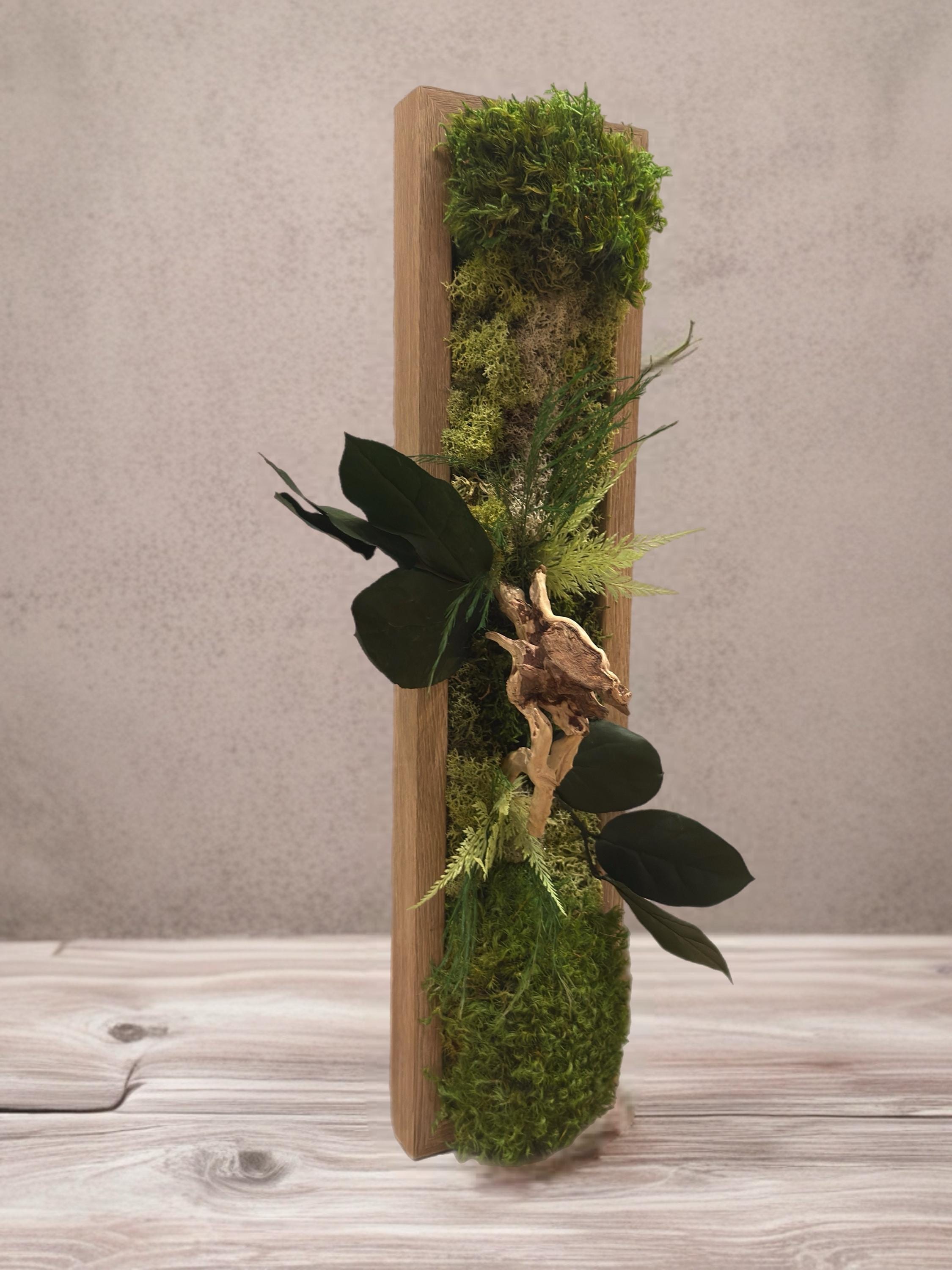 Cadre végétal stabilisé vertical Décoration murale naturelle en mousse et bois flotté  Art végétal sans entretien