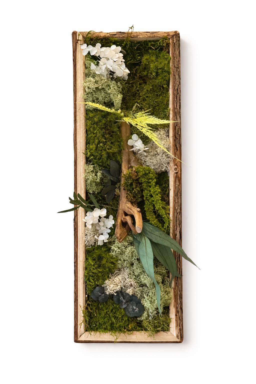Cadre végétal stabilisé vertical Mousse naturelle et bois flotté  Cadre en écorce  Décoration murale nature