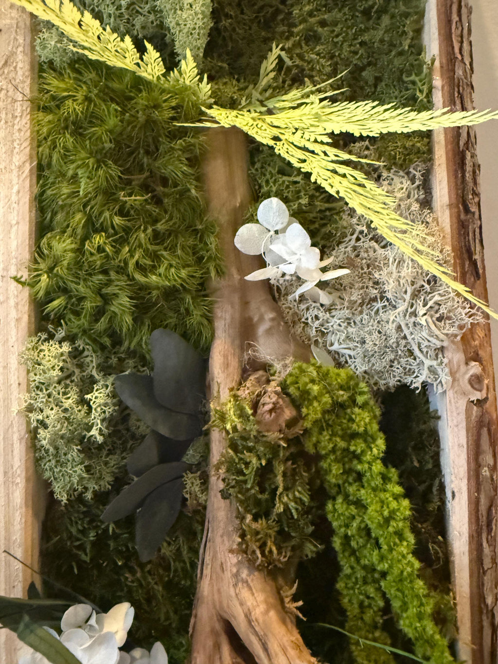 Cadre végétal stabilisé vertical Mousse naturelle et bois flotté  Cadre en écorce  Décoration murale nature