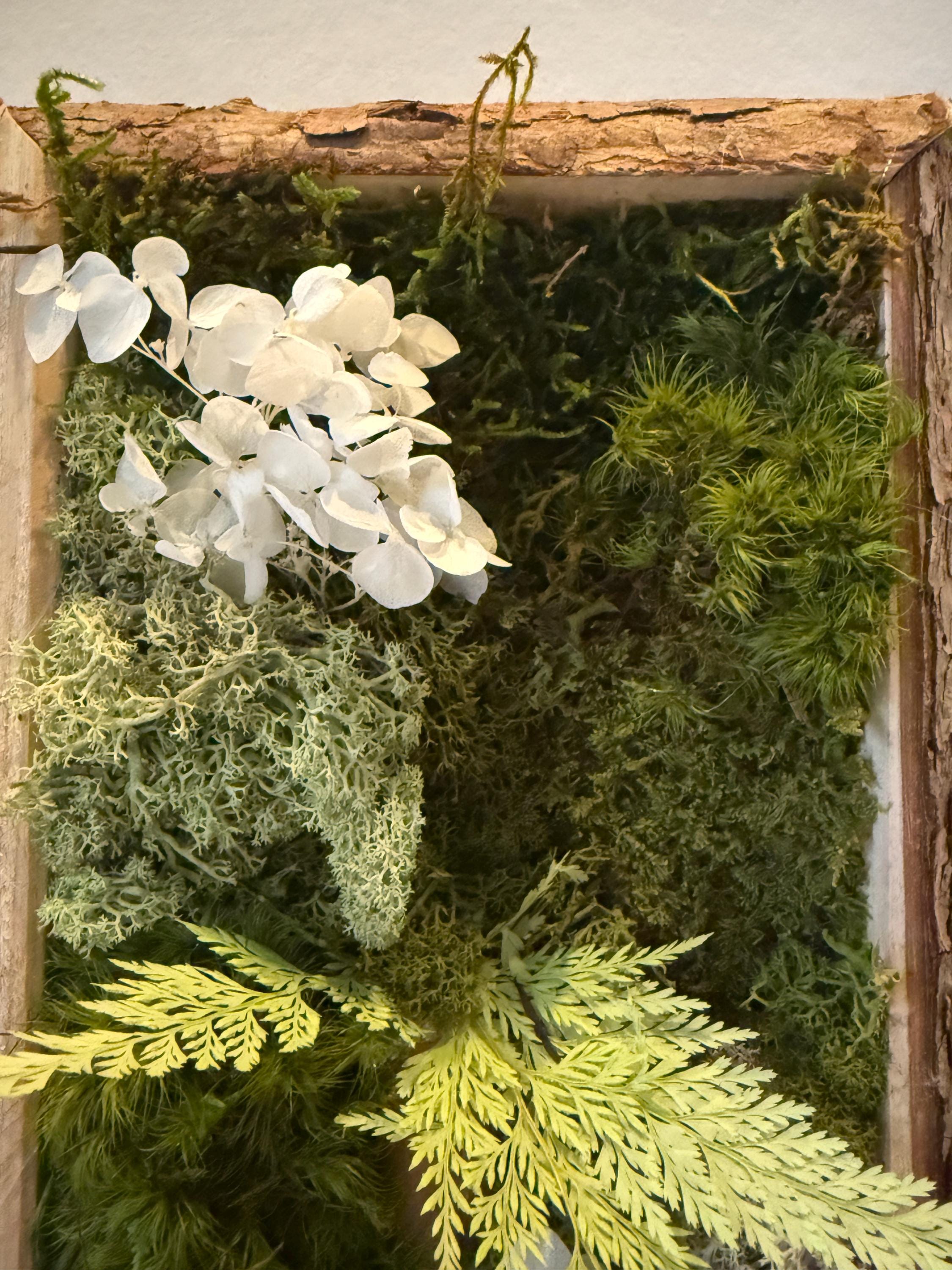 Cadre végétal stabilisé vertical Mousse naturelle et bois flotté  Cadre en écorce  Décoration murale nature