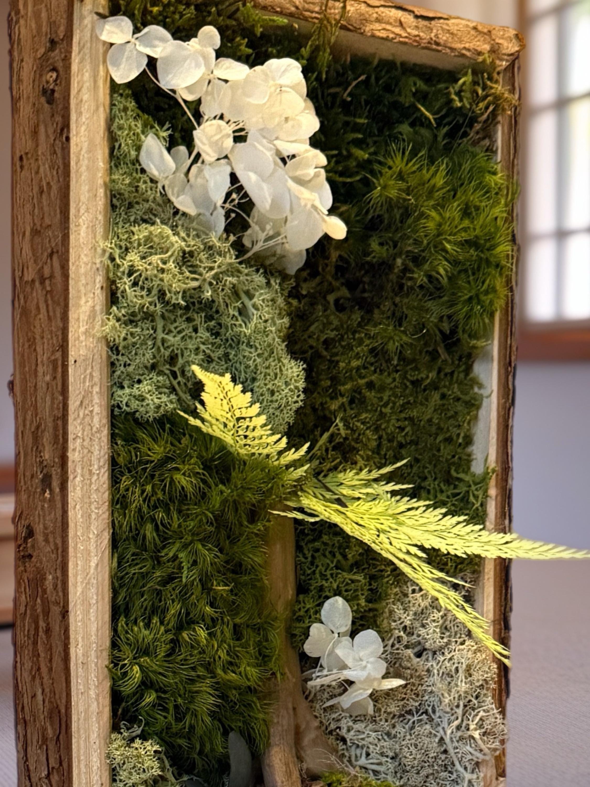 Cadre végétal stabilisé vertical Mousse naturelle et bois flotté  Cadre en écorce  Décoration murale nature