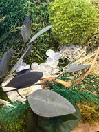 Cadre végétal mousse stabilisée, hortensia et eucalyptus  Décoration murale naturelle et élégante