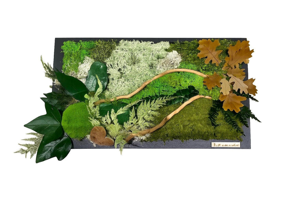 Cadre végétal stabilisé Tableau végétal naturel forêt & feuilles de chêne  Décoration murale végétale sans entretien