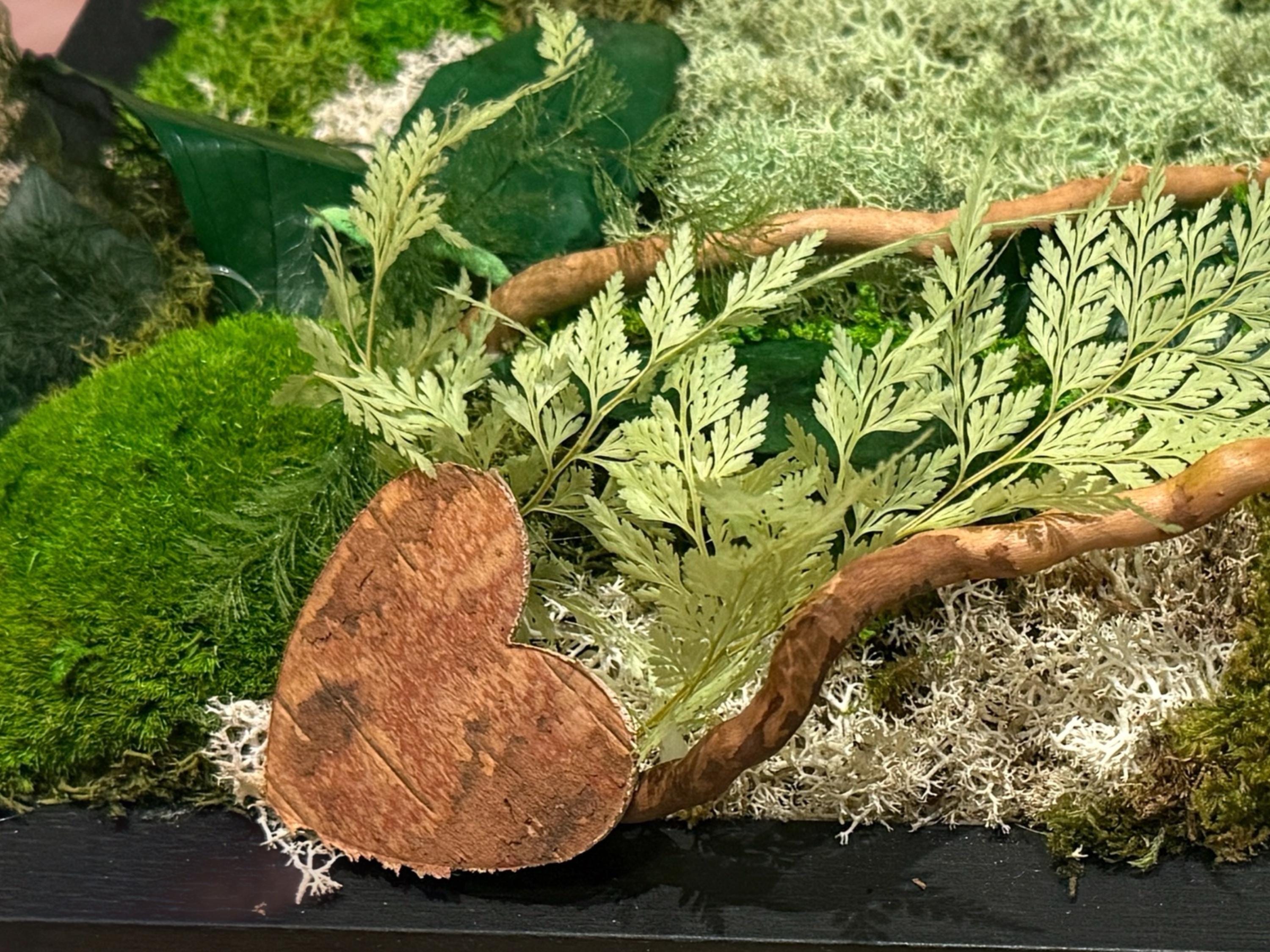 Cadre végétal stabilisé Tableau végétal naturel forêt & feuilles de chêne  Décoration murale végétale sans entretien