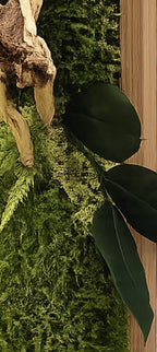 Cadre végétal stabilisé vertical Décoration murale naturelle en mousse et bois flotté  Art végétal sans entretien