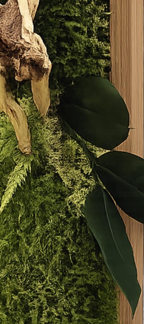 Cadre végétal stabilisé vertical Décoration murale naturelle en mousse et bois flotté  Art végétal sans entretien
