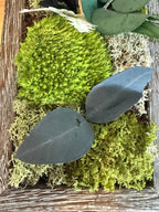 Cadre Végétal Vertical – Mousse Stabilisée, Eucalyptus & Bois | Déco Couloir & Entrée