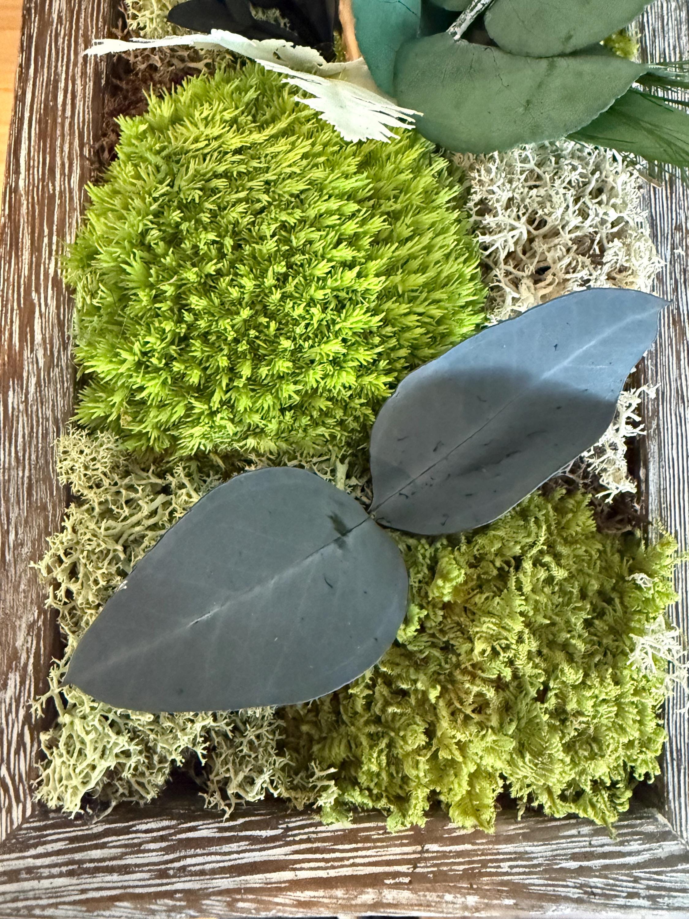 Cadre Végétal Vertical – Mousse Stabilisée, Eucalyptus & Bois | Déco Couloir & Entrée